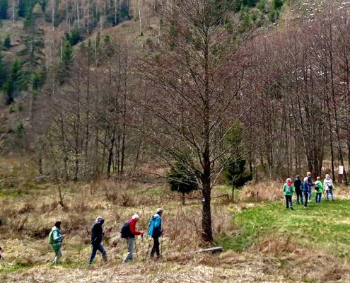 2026 0416 Wellersbach (6)