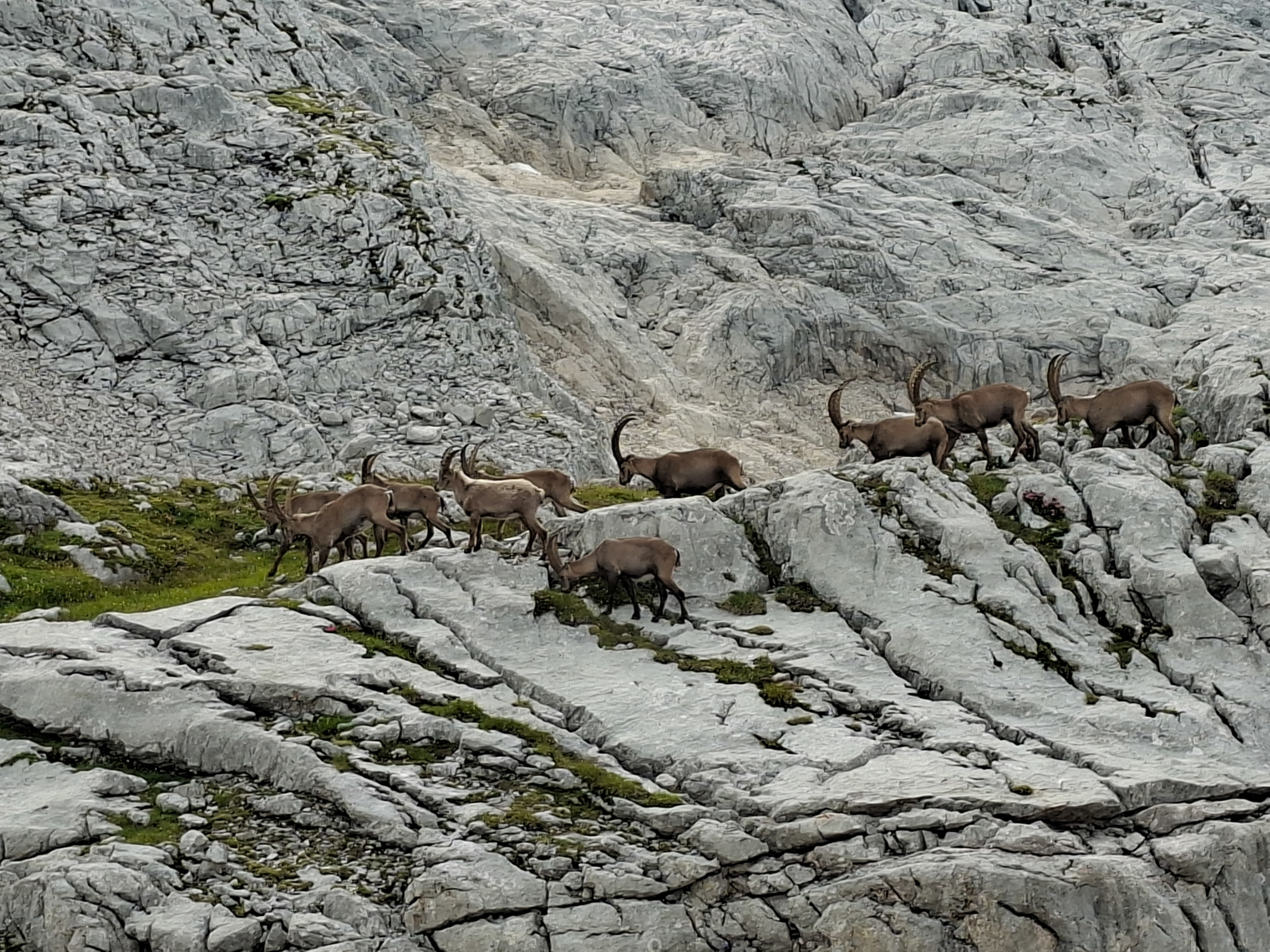 260720-160_Dachstein-Tour_DAV-Hof