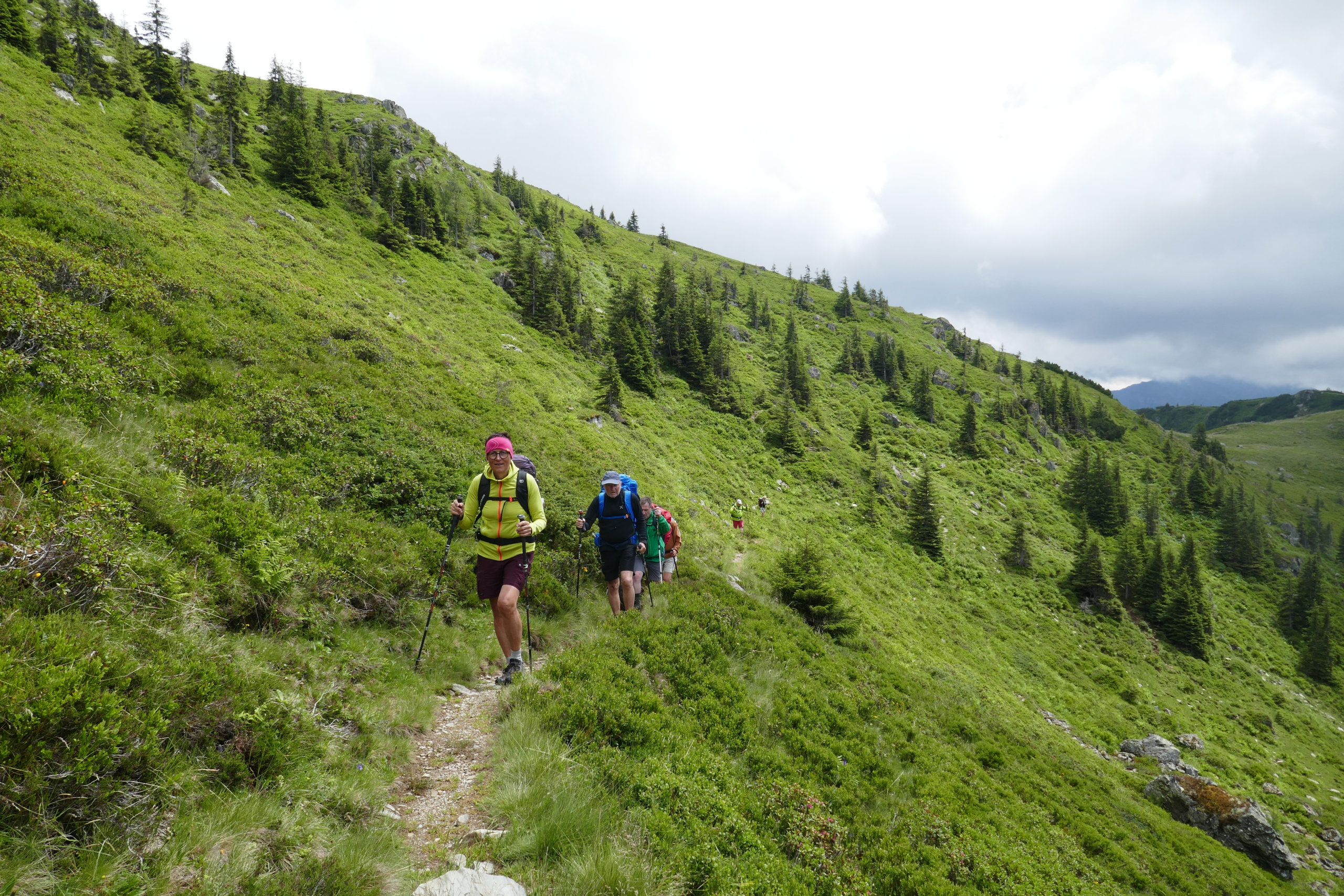 Bild 14
