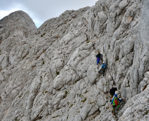 Steiner Alpen052
