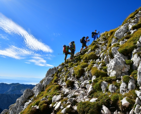 Steiner Alpen133